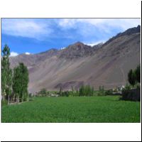 IN_Ladakh_Alchi_Fields2.jpg
