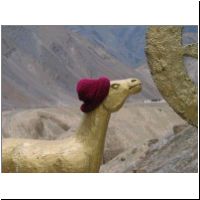 IN_Ladakh_Lamayaru_HatCamel1.jpg