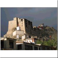 IN_Ladakh_Leh_Castle2.jpg
