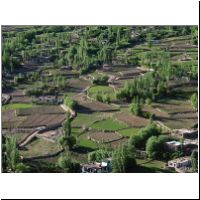 IN_Ladakh_Leh_View09.jpg