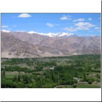 IN_Ladakh_Shey_Landscape1.jpg