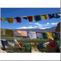 IN_Ladakh_Shey_PrayerFlags.jpg