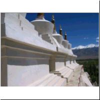 IN_Ladakh_Shey_Stuppa1.jpg