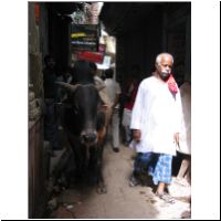 IN_Varanasi_Street5.jpg