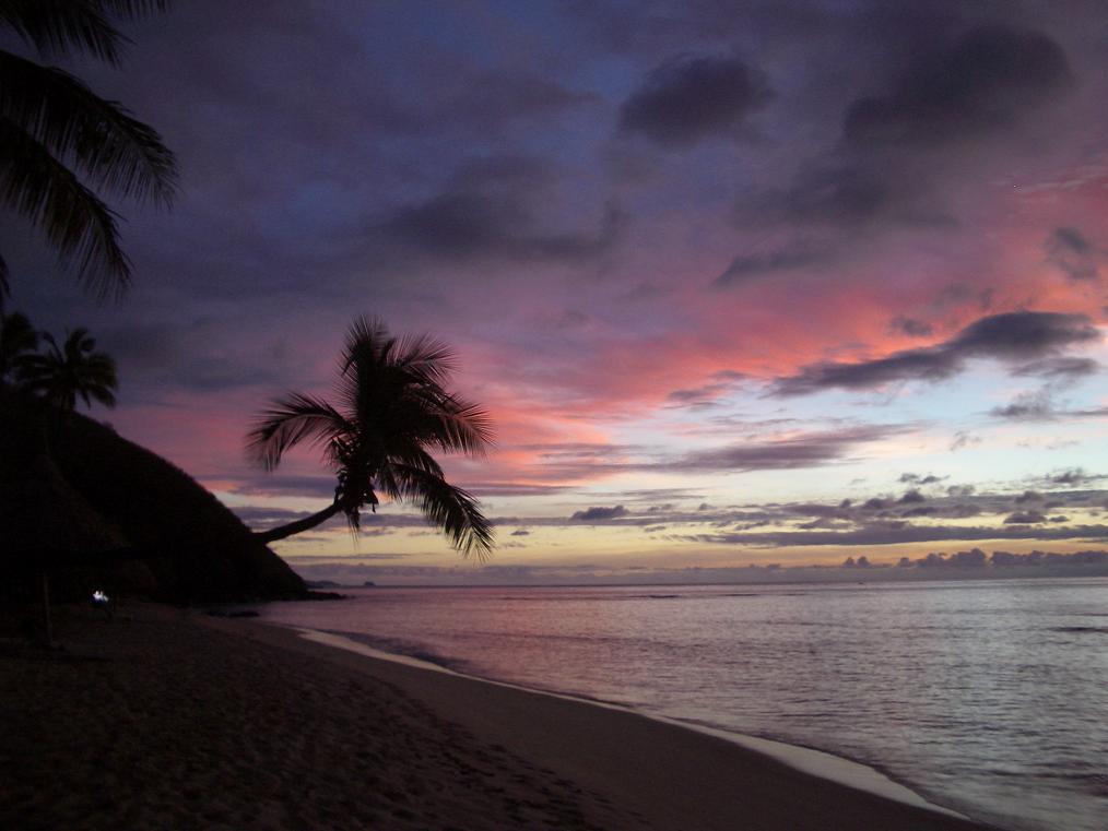 fiji_octopus_sunset2.jpg