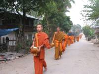 laos_langprobang_monkwalk3.jpg