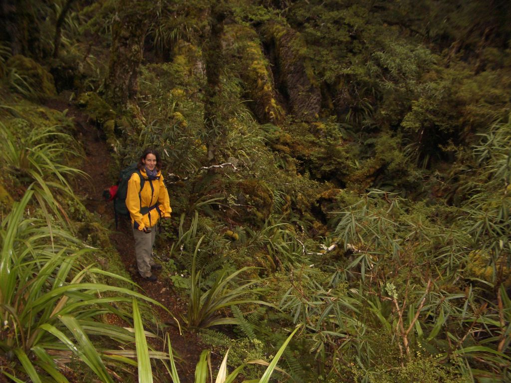 nz_hnz_d02_karen_in_forest.jpg