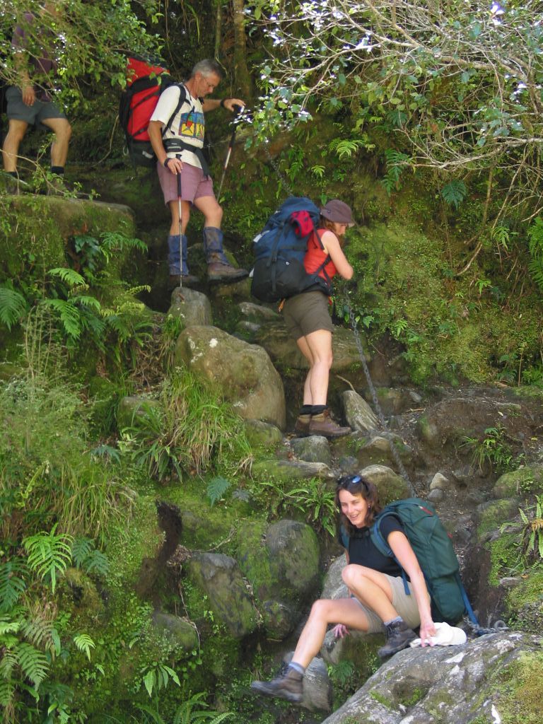 nz_hnz_d07_copland_trail.jpg