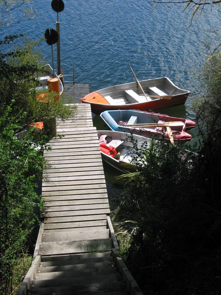 nz_manapouri_row_boats.jpg