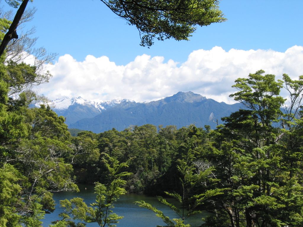 nz_manapouri_view_1.jpg