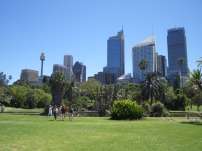 sydney_parknskyline.jpg