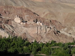 tb_in_ladakh_fort.jpg